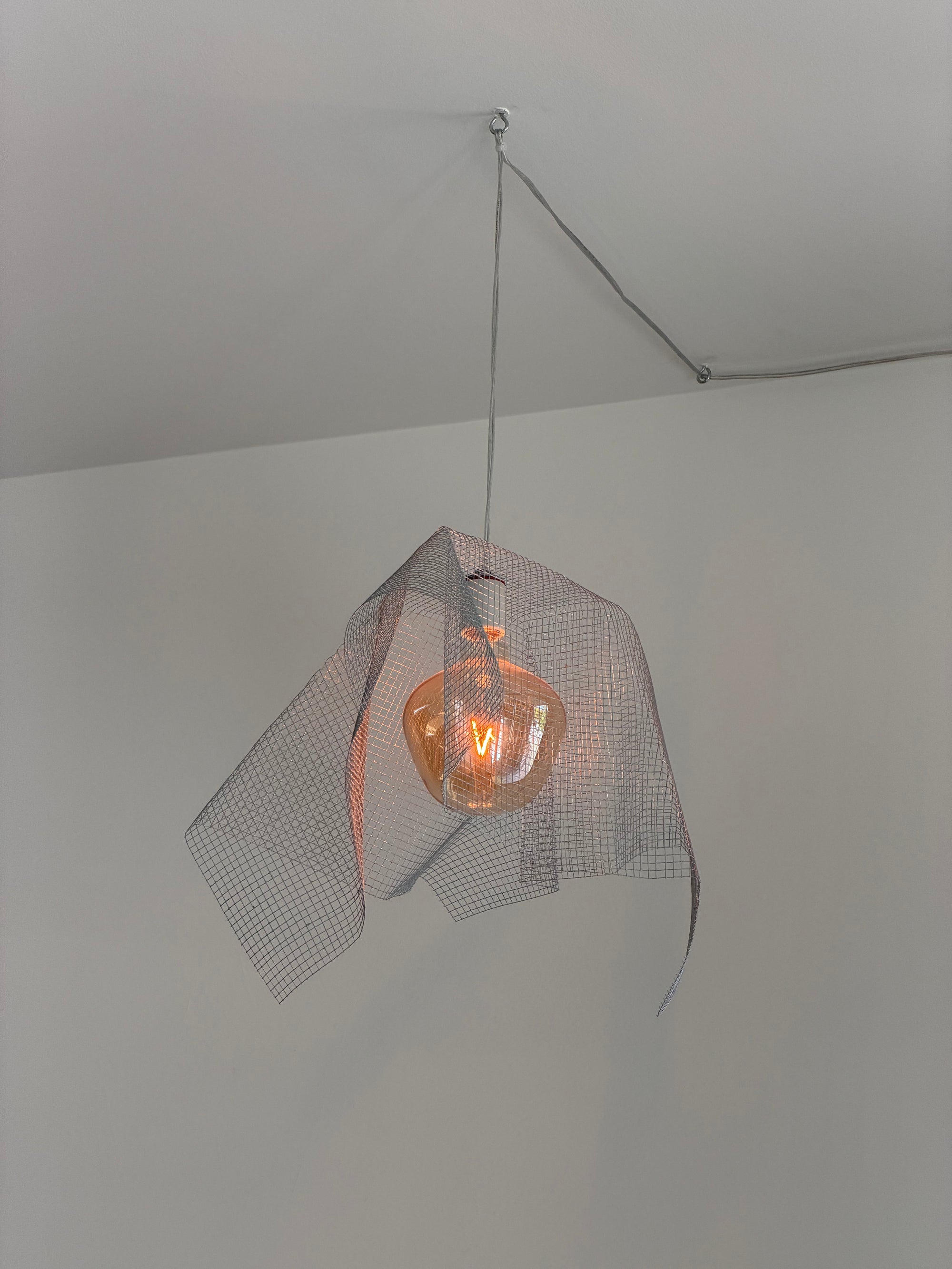 Agnes Steel Mesh Ceiling Lamp