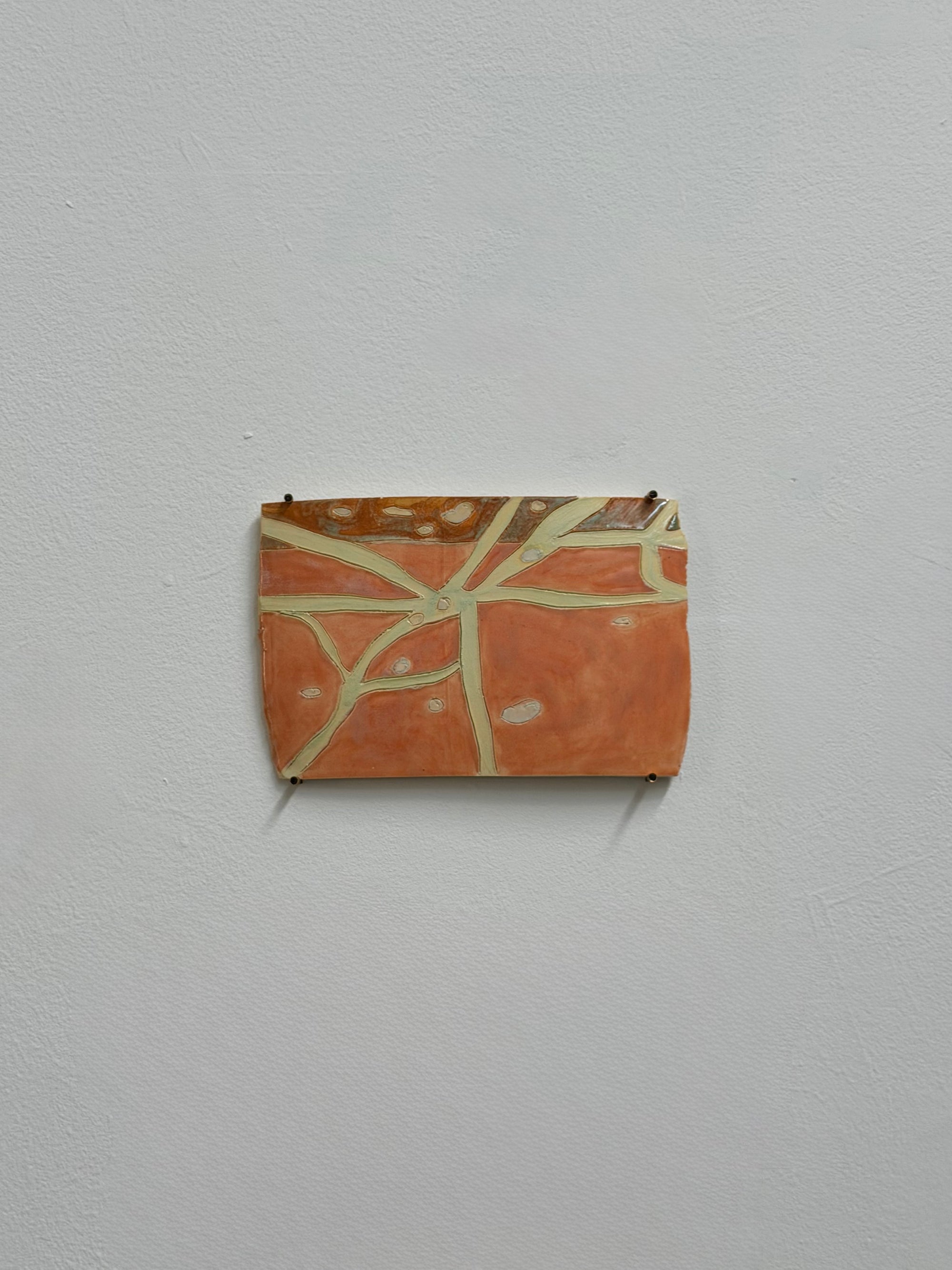 Cosmos web as landscape - Courtney Knight