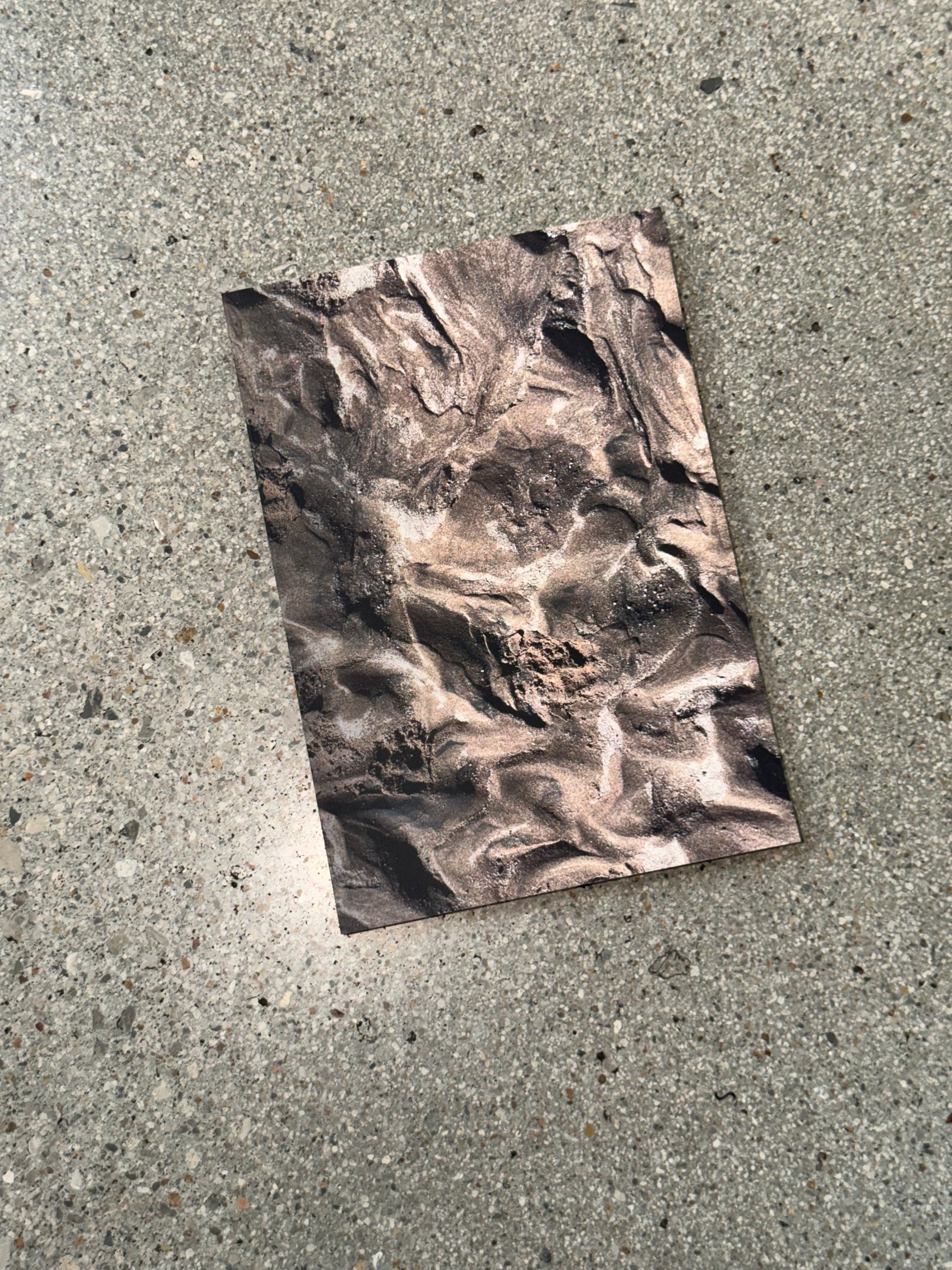 Two Cars in Every Garage + Three Eyes on Every Fish Book - Jack Graydon
